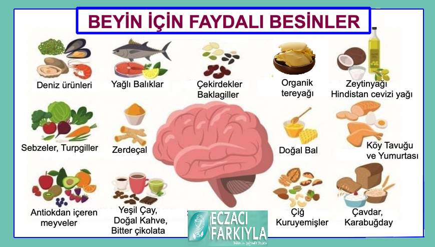 Beyin için faydalı besinler